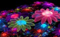 /album/fotogalerij/a3d-bloemen-jpg/